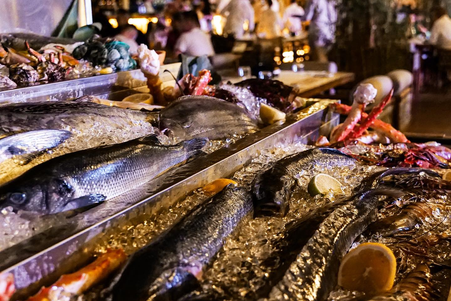 472745878_593199073455035_1022556389999135446_n